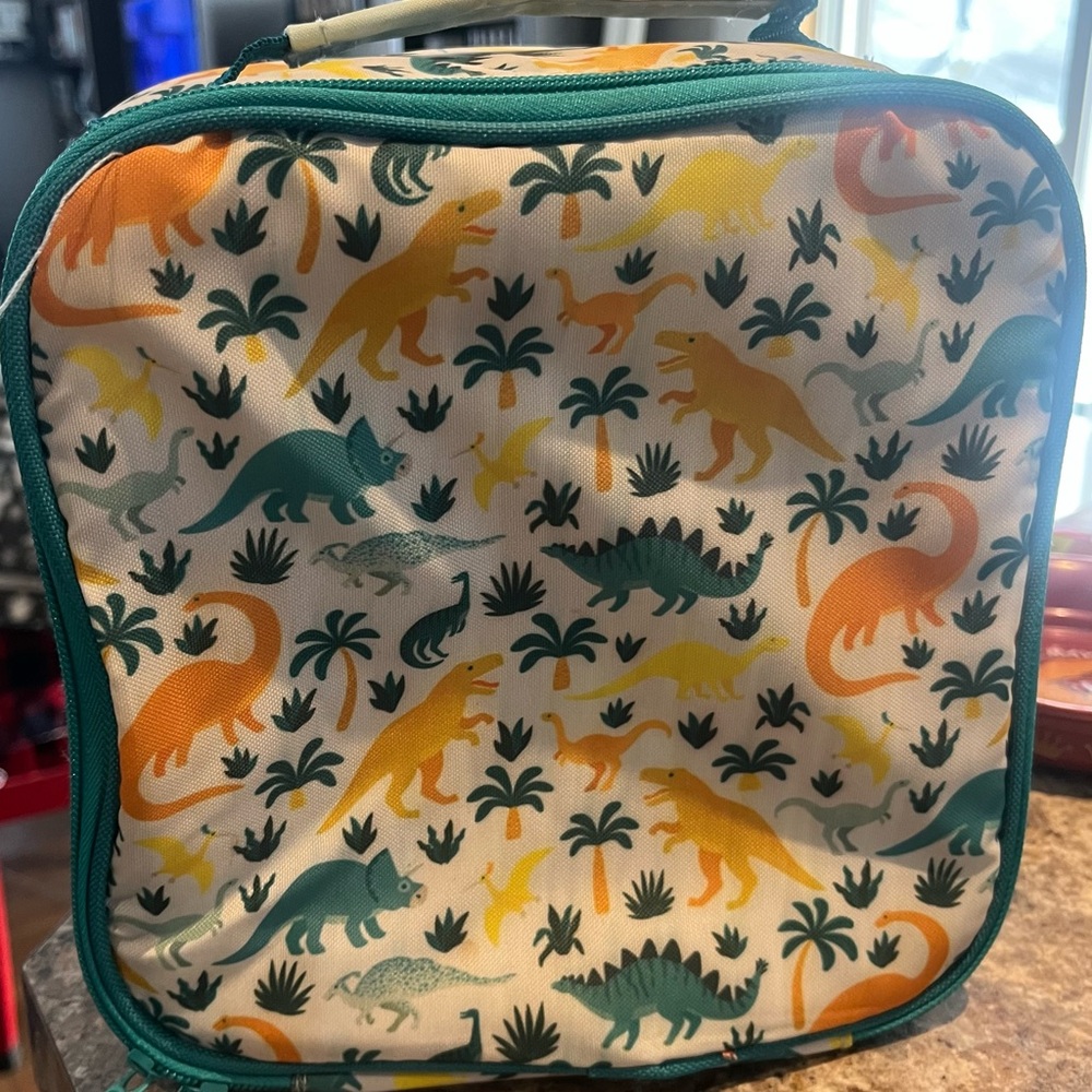 Dinosaur Print Kids Lunch Bag - Multicolor
